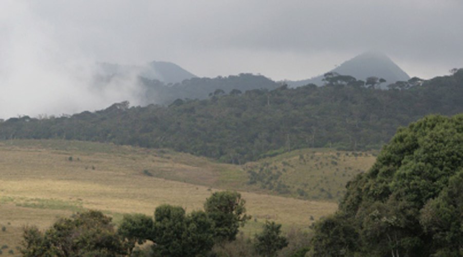 Discover Sri Lanka