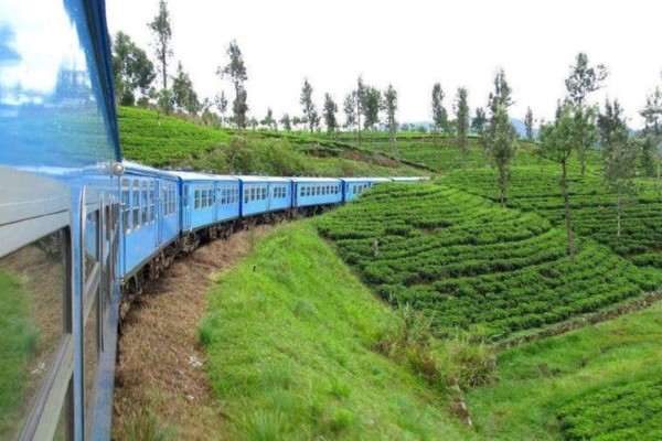 Discover Sri Lanka