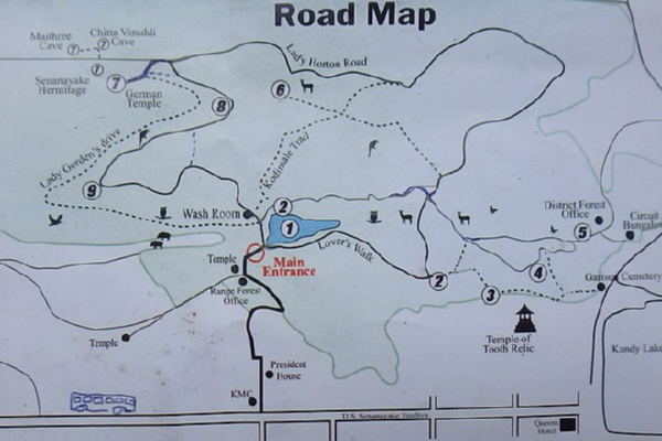 Udawaththakele Forest Trek