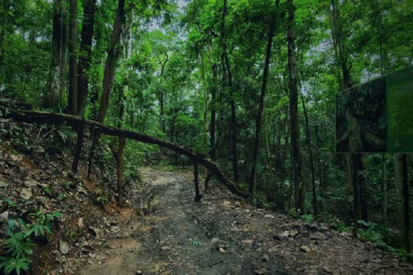 Udawaththakele Forest Trek