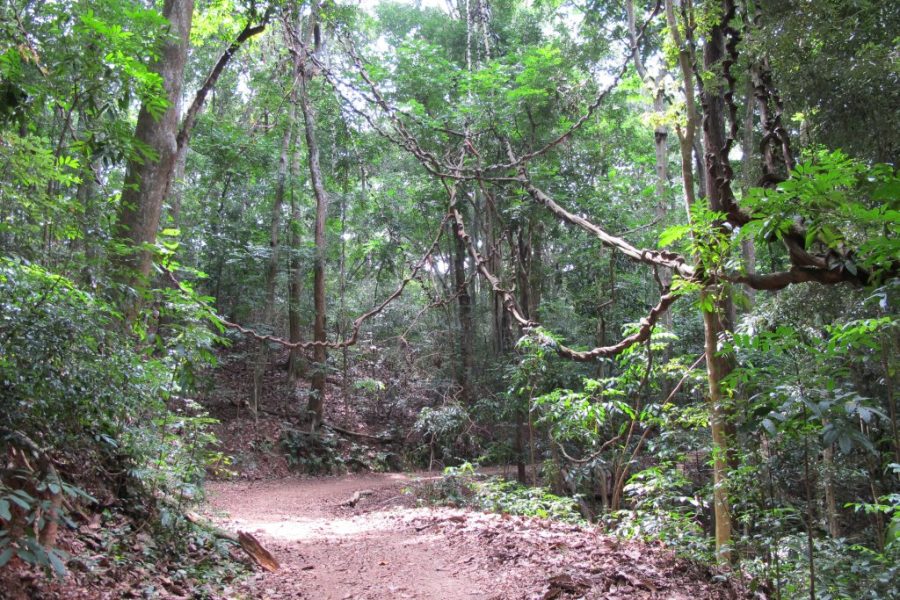 Udawaththakele Forest Trek
