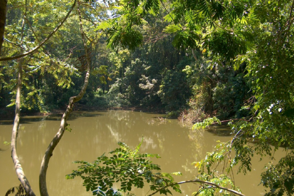 Udawaththakele Forest Trek