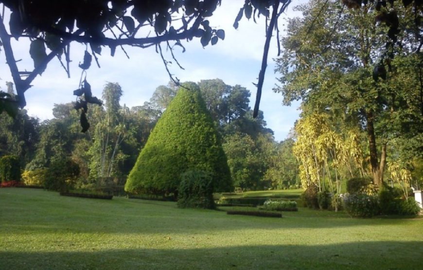 Classic Ceylon